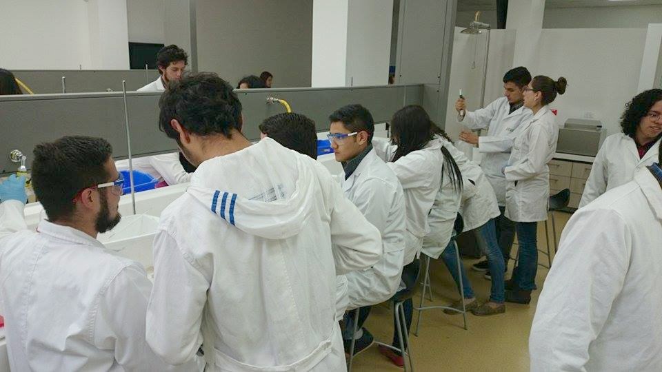 Laboratorio de Química