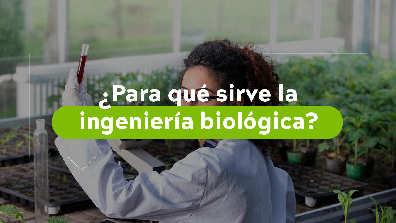 Para qué sirve la ingeniería biológica