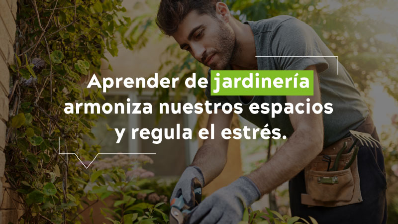 aprender de jardineria armoniza nuestros espacions