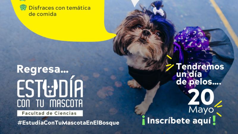 EsTuDía con tu mascota