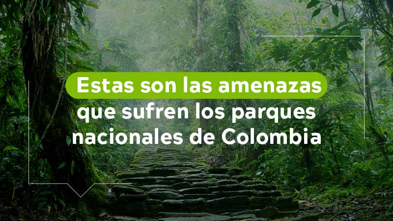 Estas son las amenazas que sufren los parques nacionales de Colombia