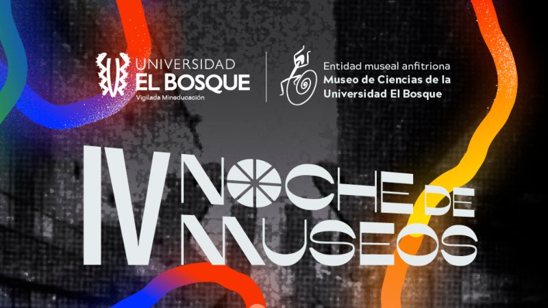 IV Noche de Museos