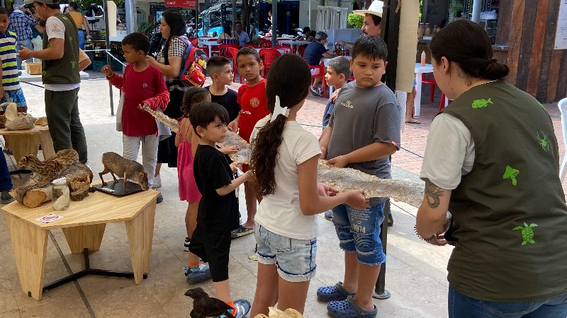 Museo Itinerante Universidad El Bosque en Doradal