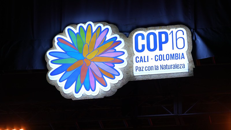 COP16-biodiversidad-conferencia-colombia-ueb