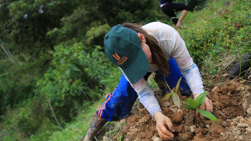 Universidad-El-Bosque-acciones-sostenibles-COP16