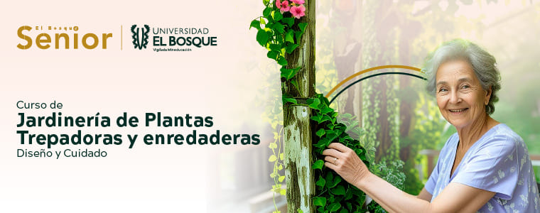 Curso de Jardinería de Plantas Trepadoras y Enredaderas