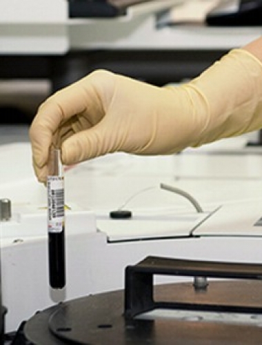 Laboratorios de la Facultad de Ciencias