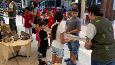 Museo Itinerante Universidad El Bosque en Doradal