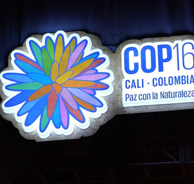 COP16-biodiversidad-conferencia-colombia-ueb