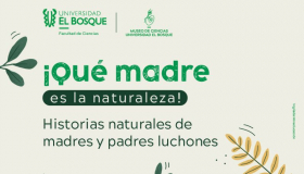 ¡Qué madre es la naturaleza!